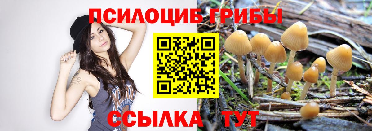 Ревда  Галлюциногенные грибы GOLDEN TEACHER  Галлюциногенные грибы MAGIC MUSHROOMS  Вход с VPN 